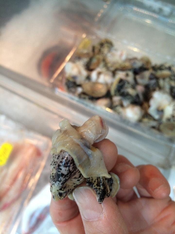 魚雅 市ヶ谷五番町