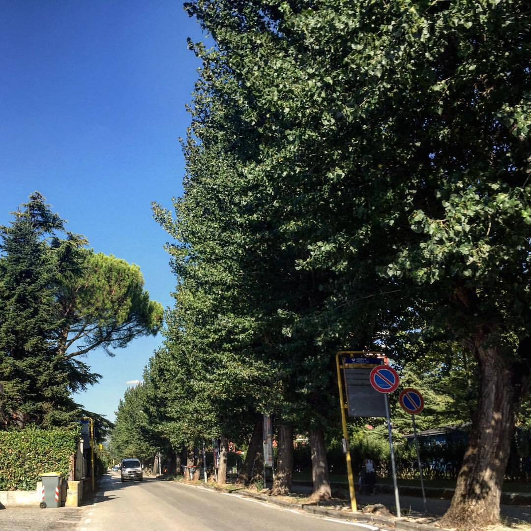 Prato smeraldo