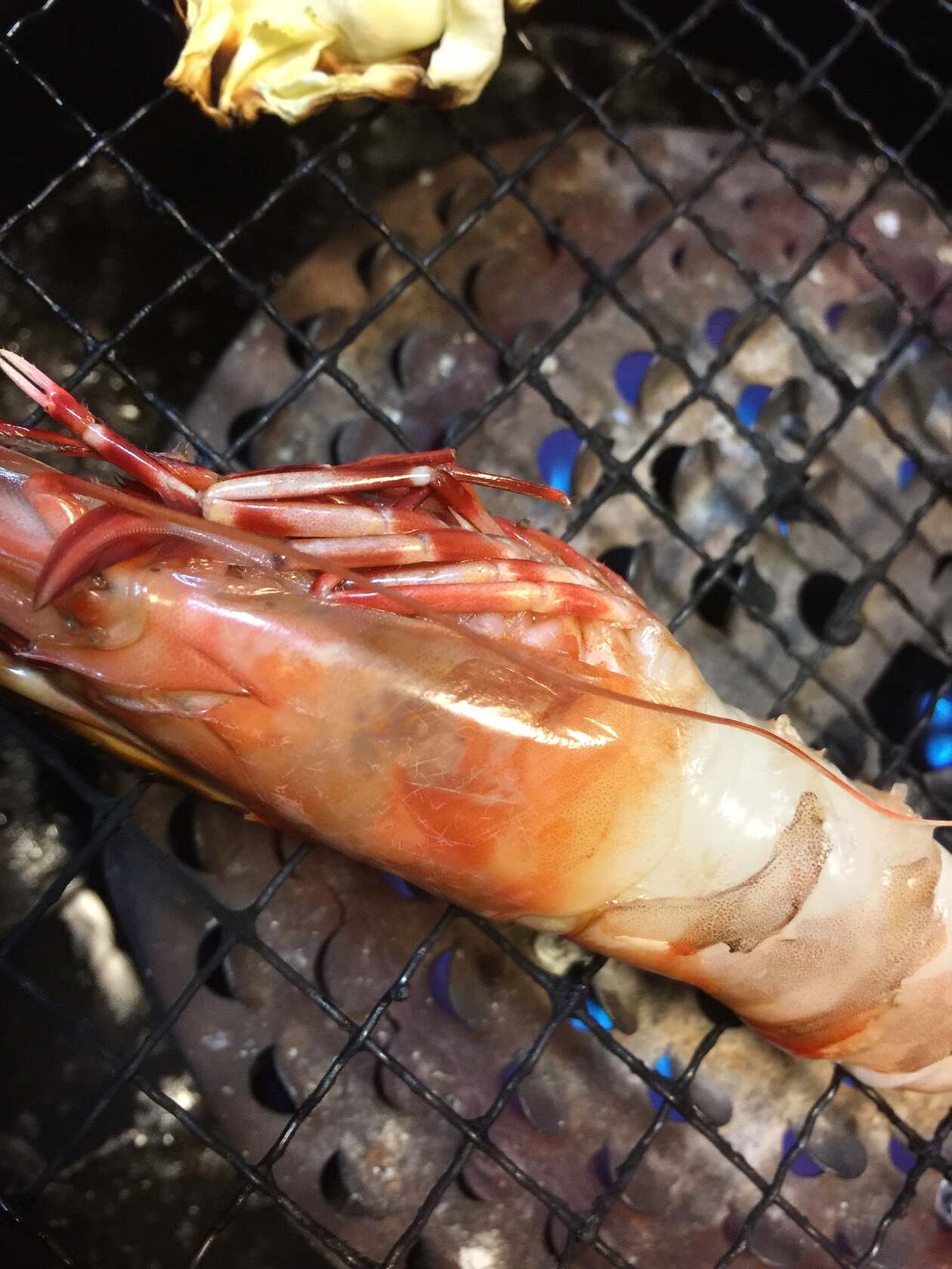 焼肉さくら