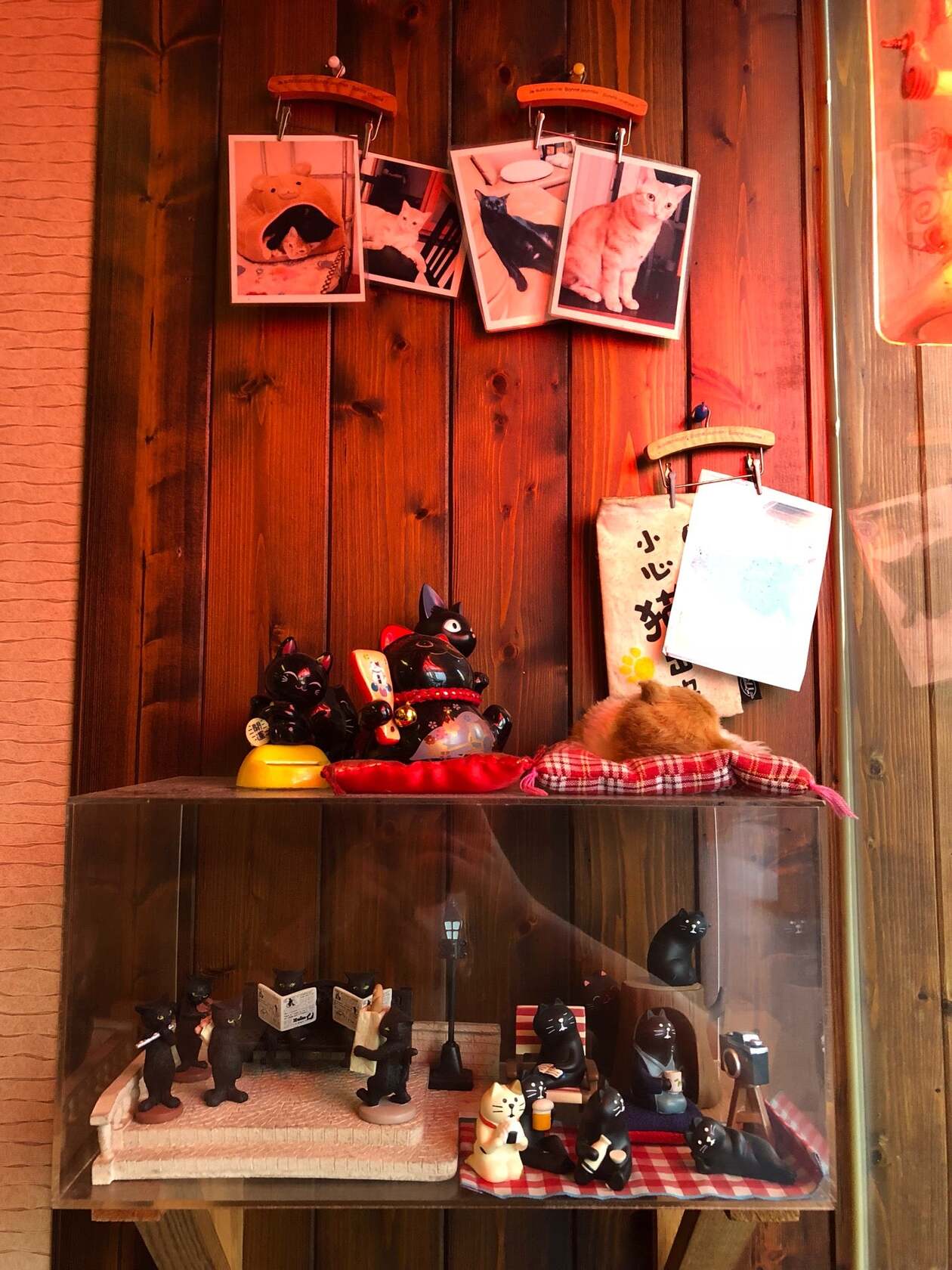 黑貓食堂