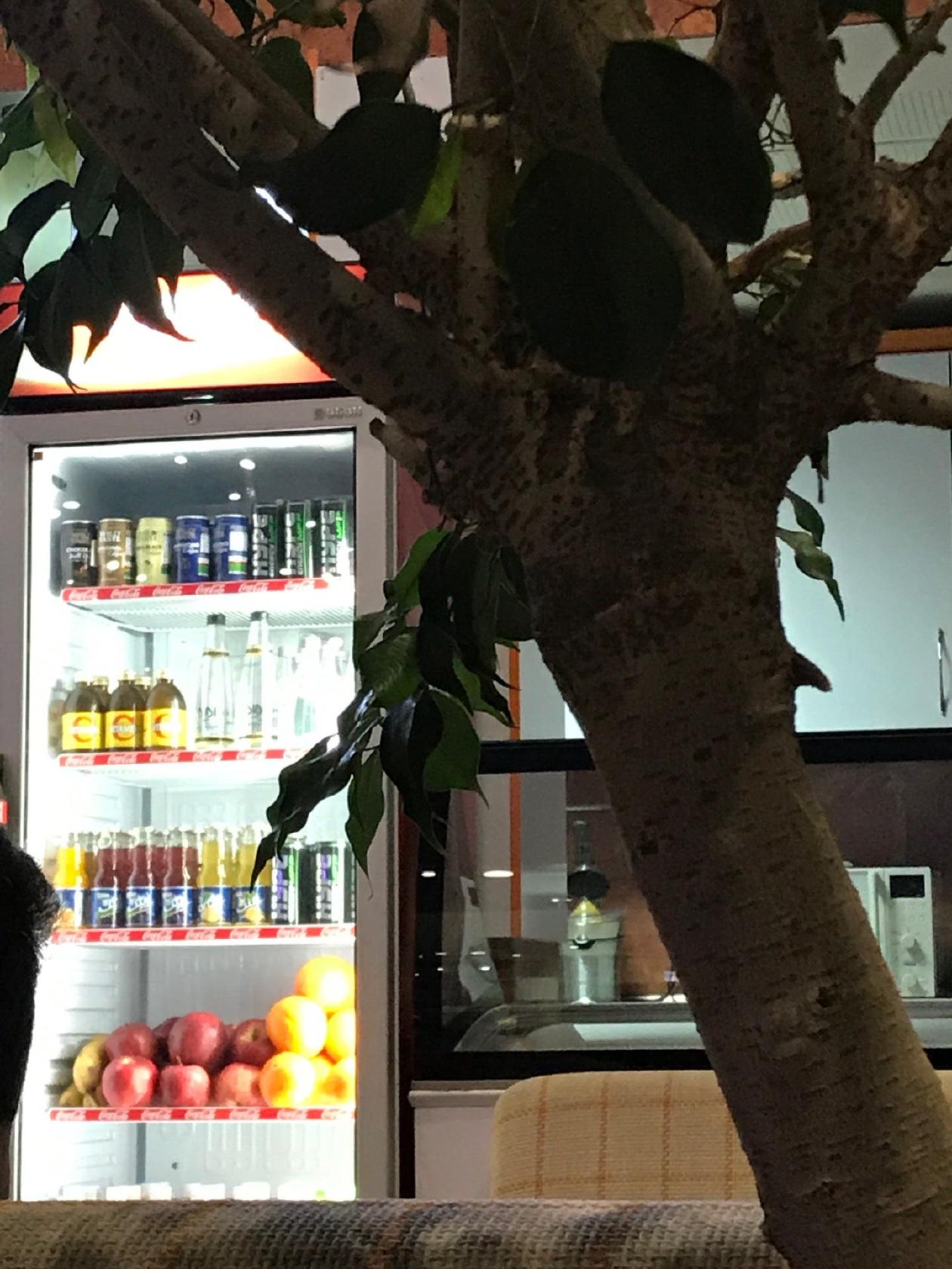 Vitamineh Coffee Shop کافی شاپ ویتامینه