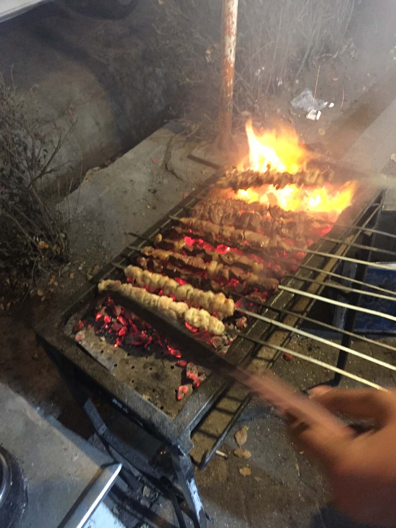 جگرکی و کبابی امیر