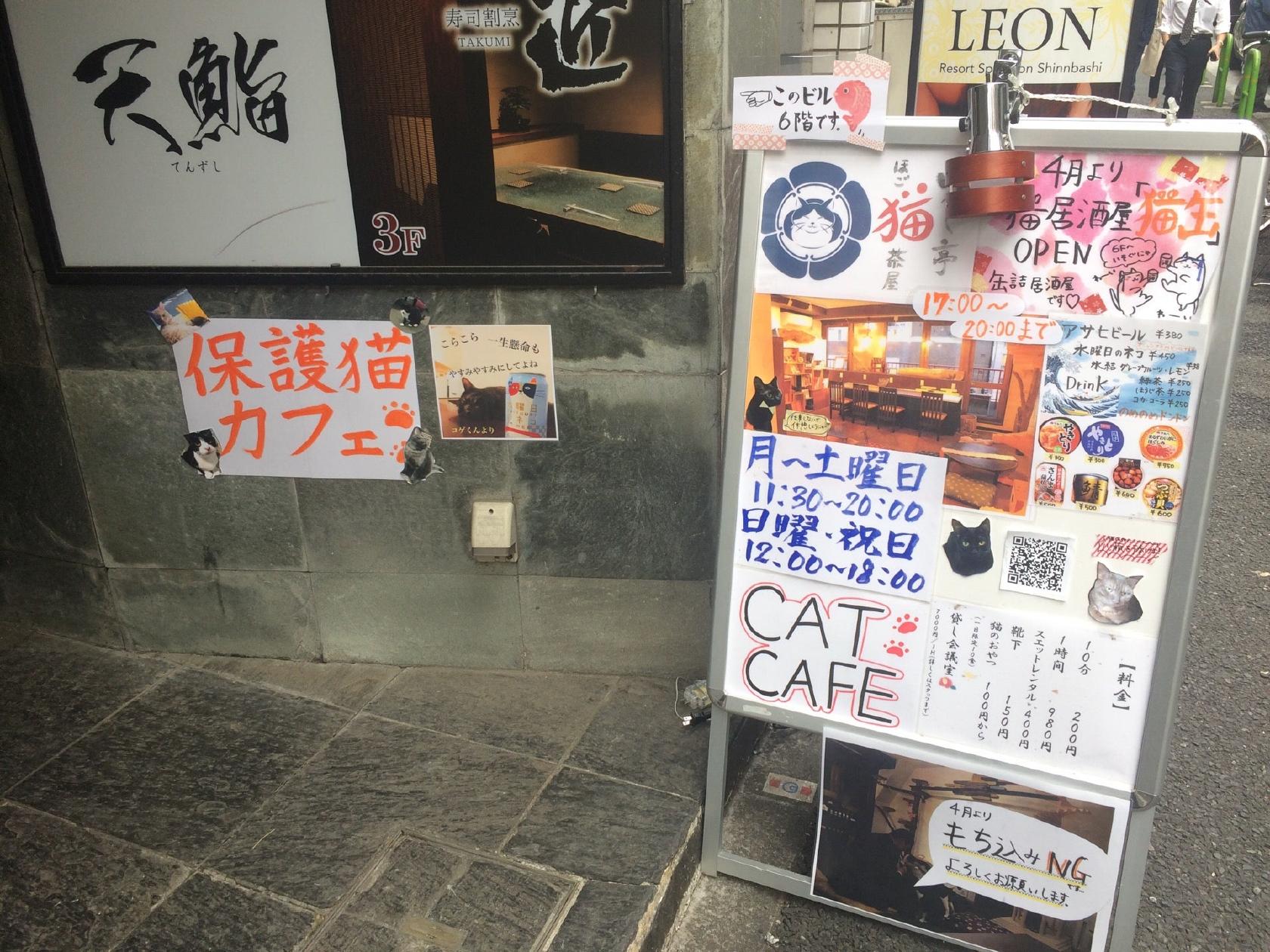 いやし亭 ほご猫茶屋