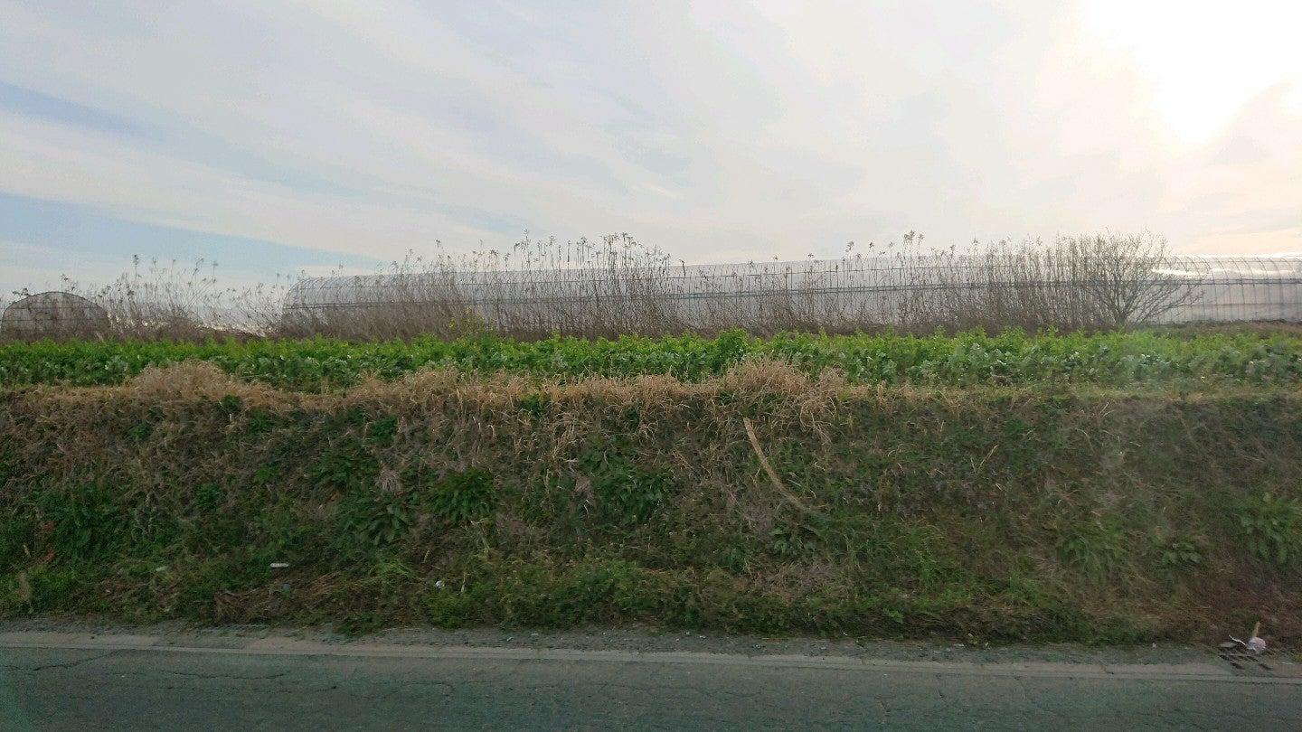 あそ路 別邸