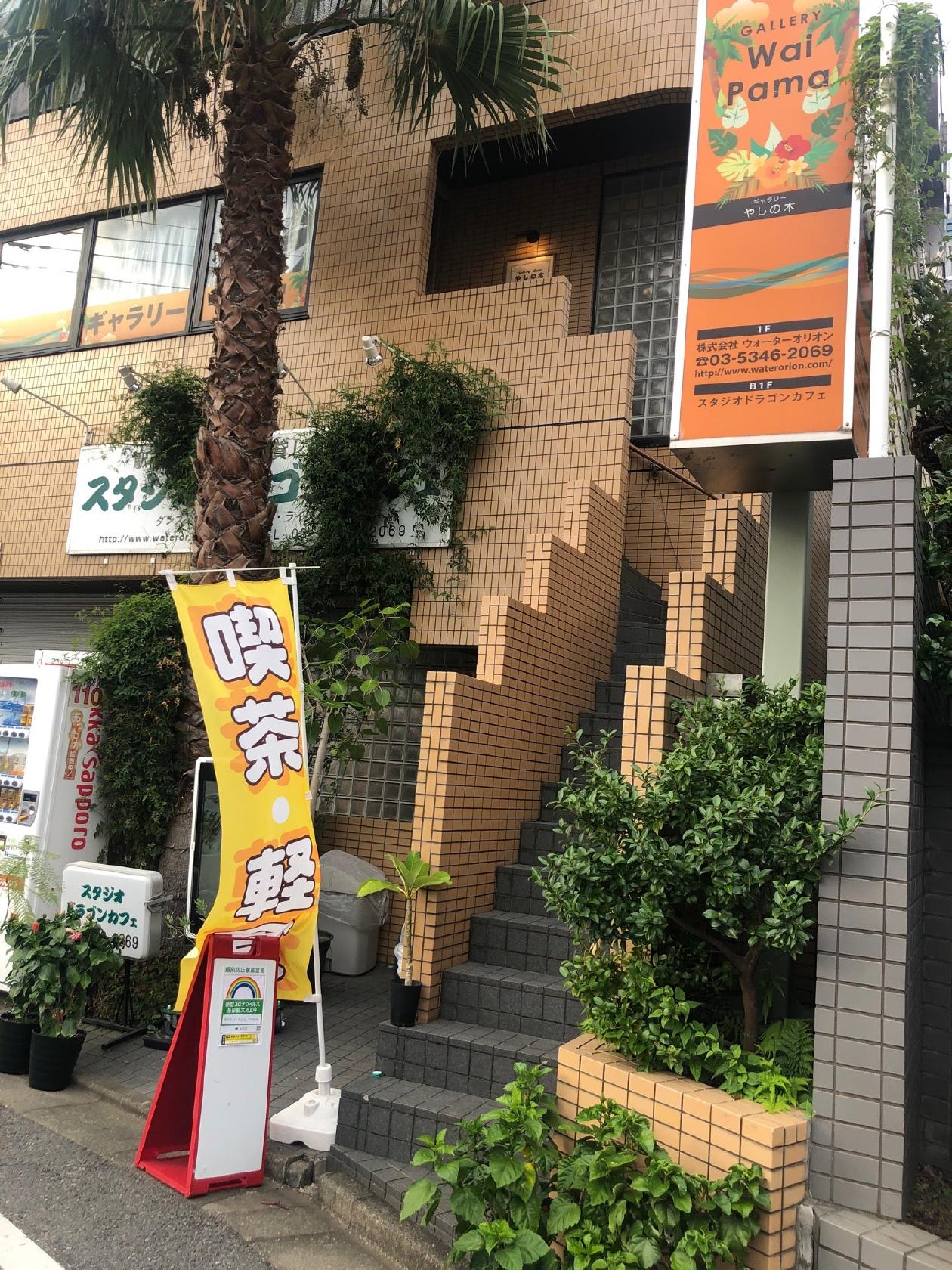 Gallery カフェ やしの木