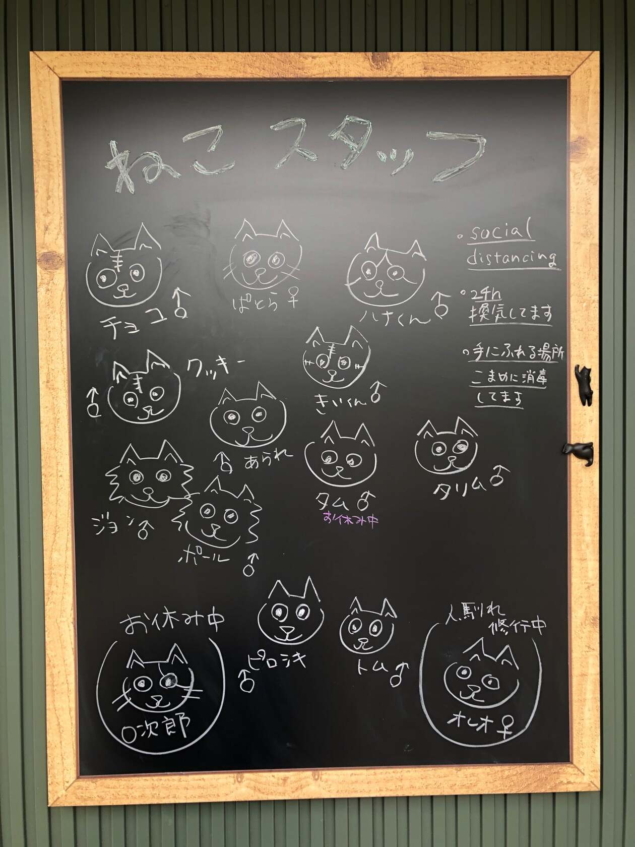 保護猫ホーム&カフェねこらぼ