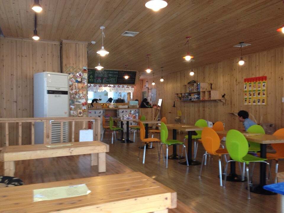 Cat Cafe