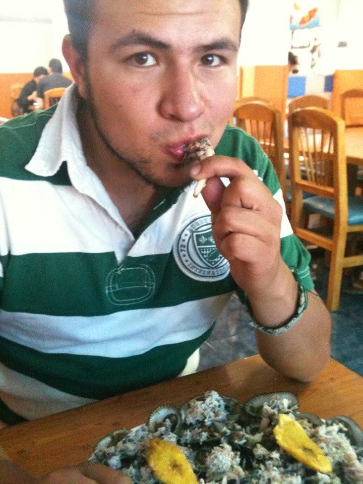 El Timón