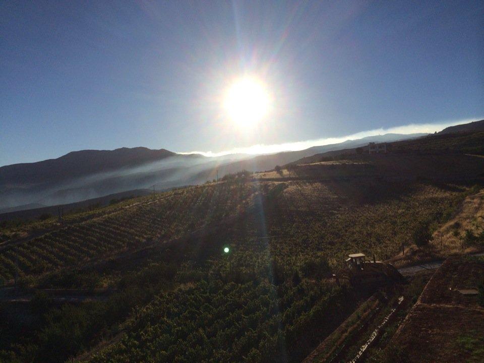 Humeur du Chef Chateau Khoury