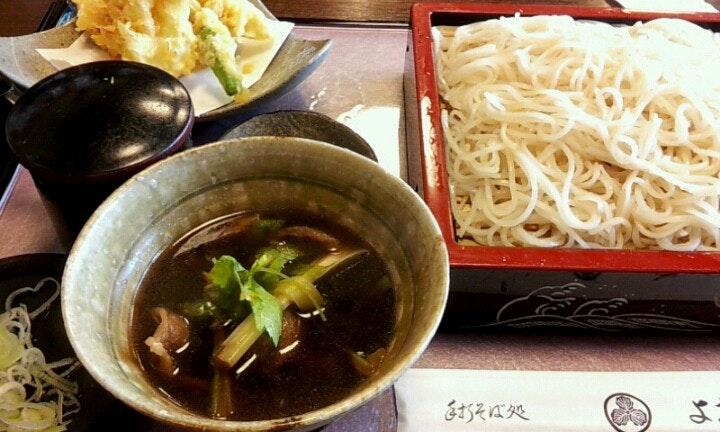 よ志竹
