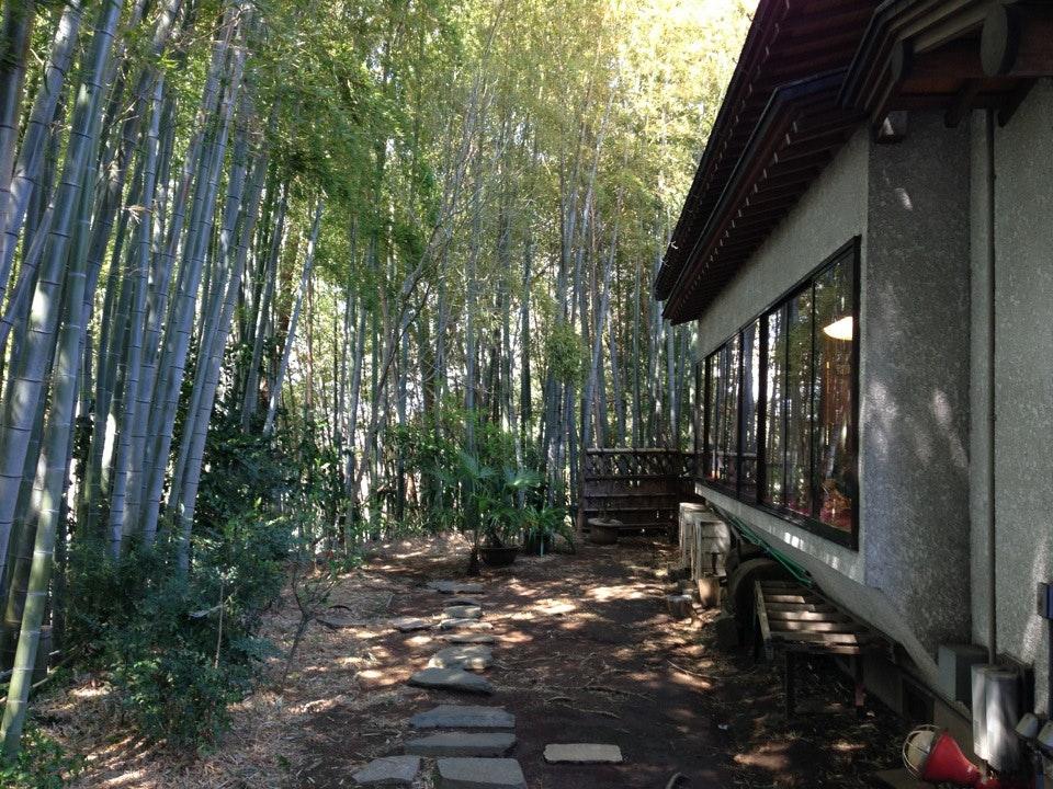 竹林のそば店 海老名 竹葉庵