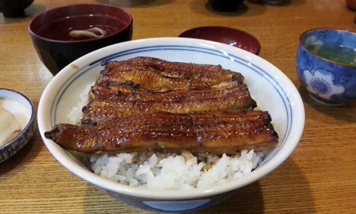 伊豆菊