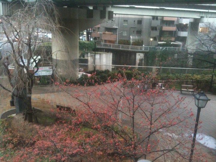 ユルカフェ