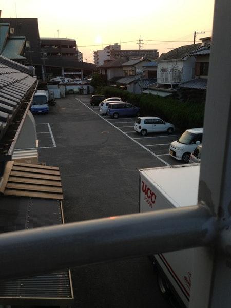 ひな野 和歌山カーニバル店