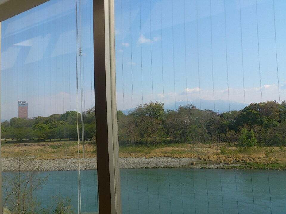 グリーントゥモロー