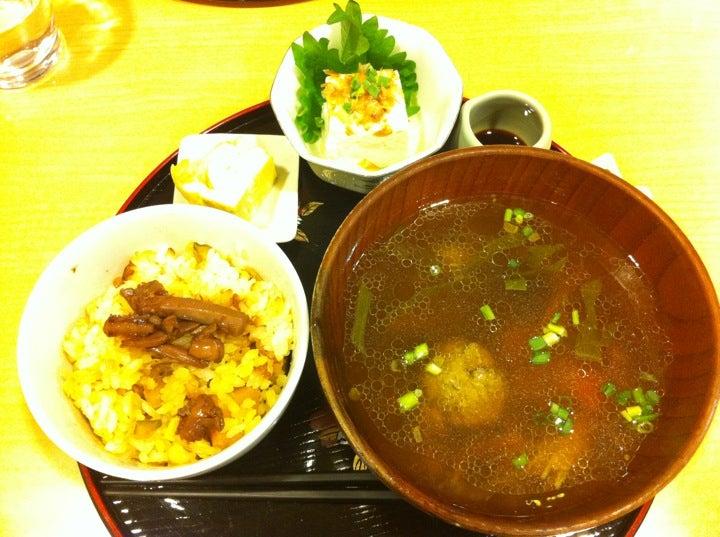 まんまるの木