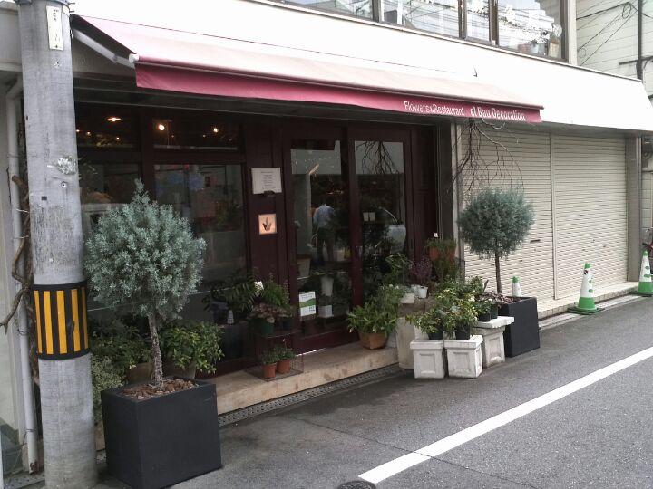 エルバウデコラシオン