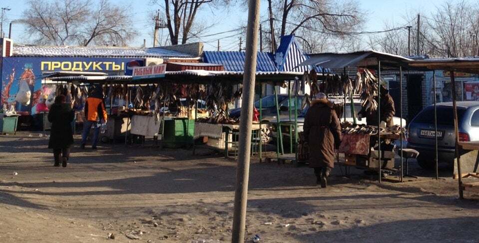 Рыбный Мир