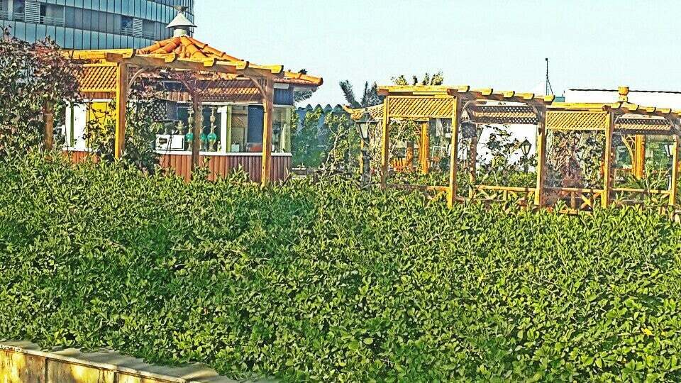 باغچه آلاچیق