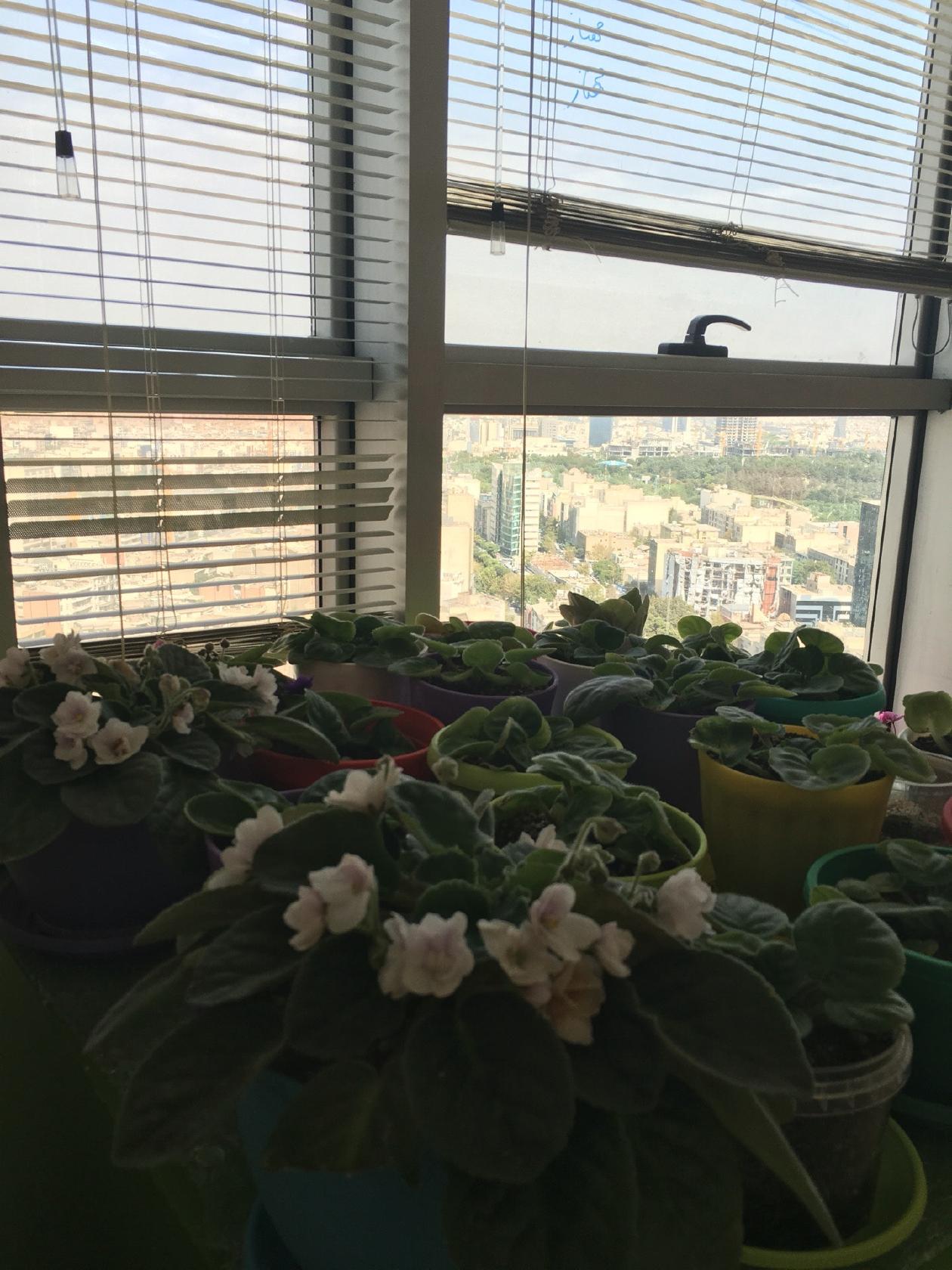 Cafe Bazaar's Food Court, 22nd Floor