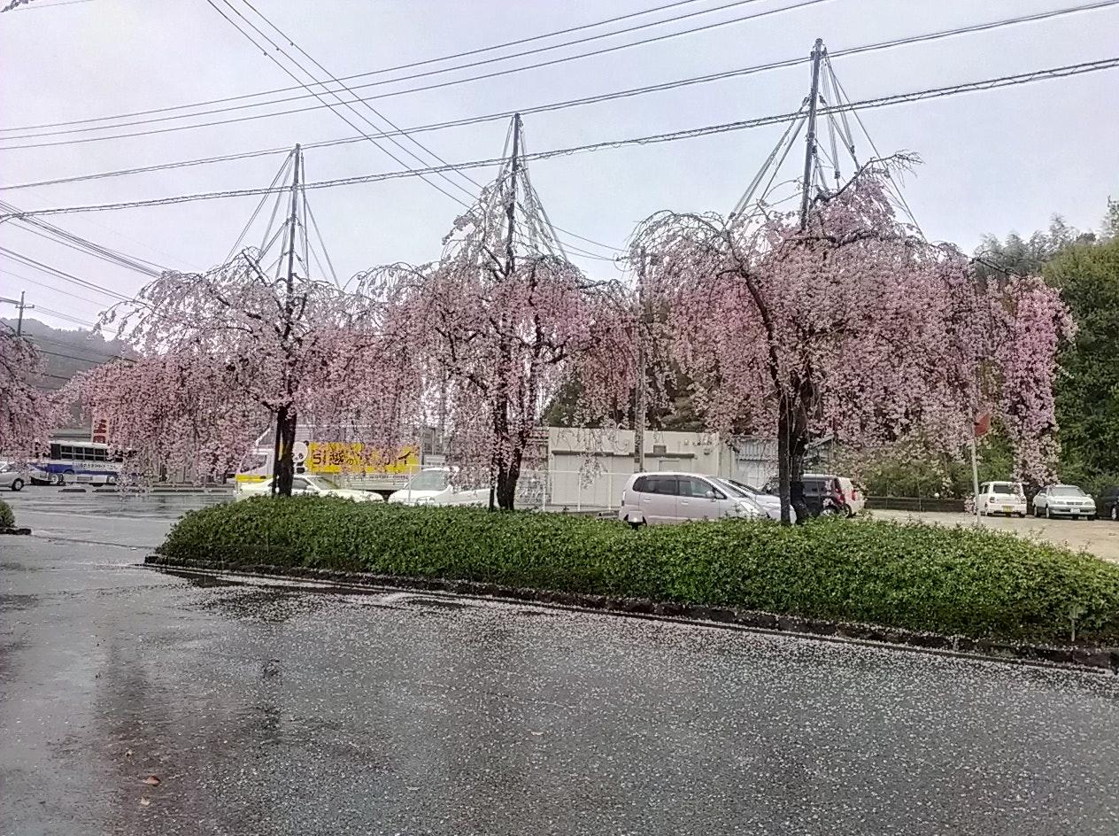 豆子郎 茶藏庵