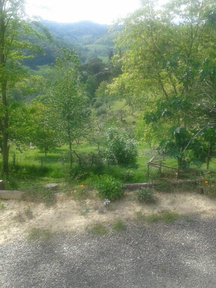 Alpaca Country House