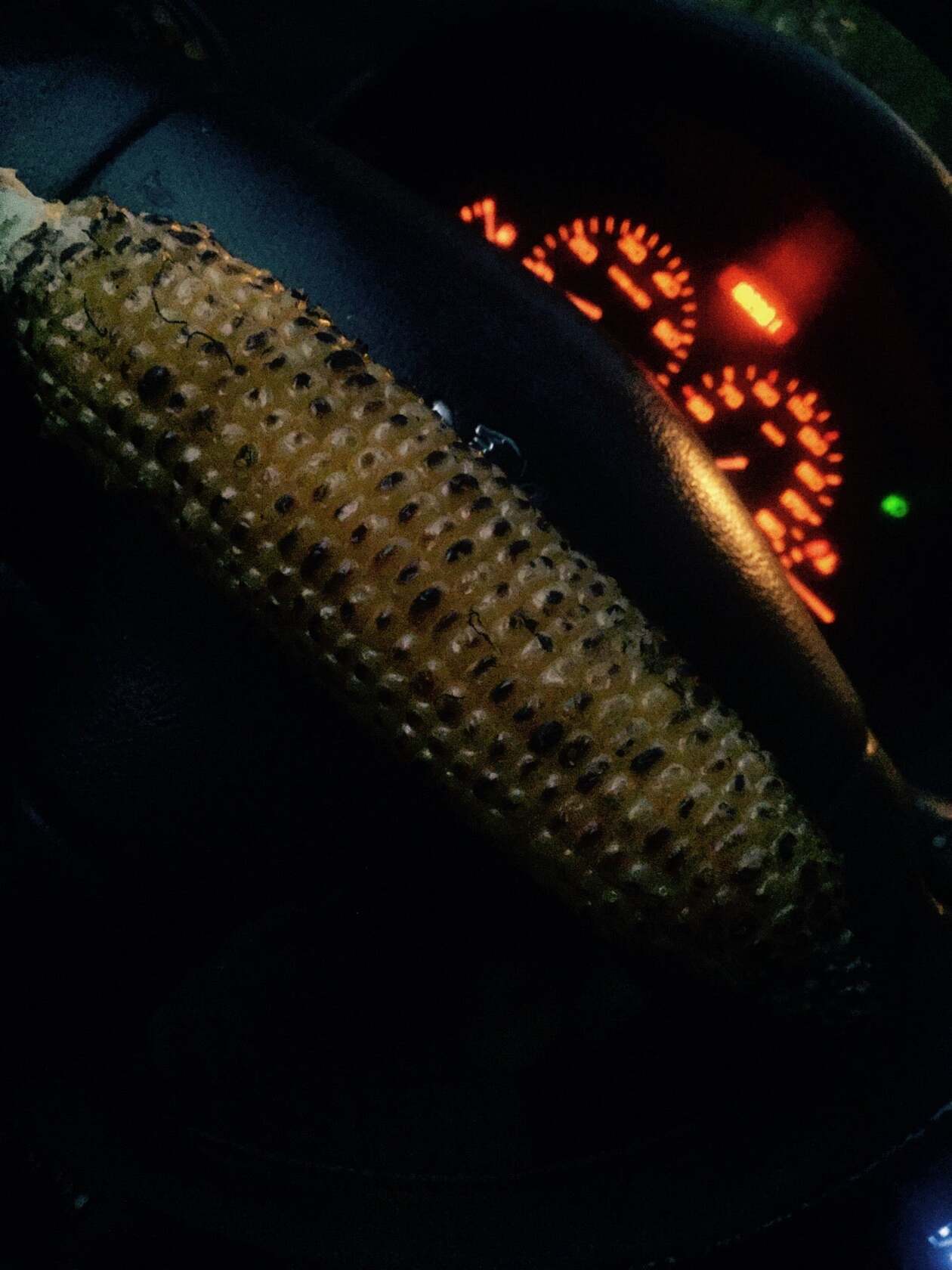 خالا اوغلي