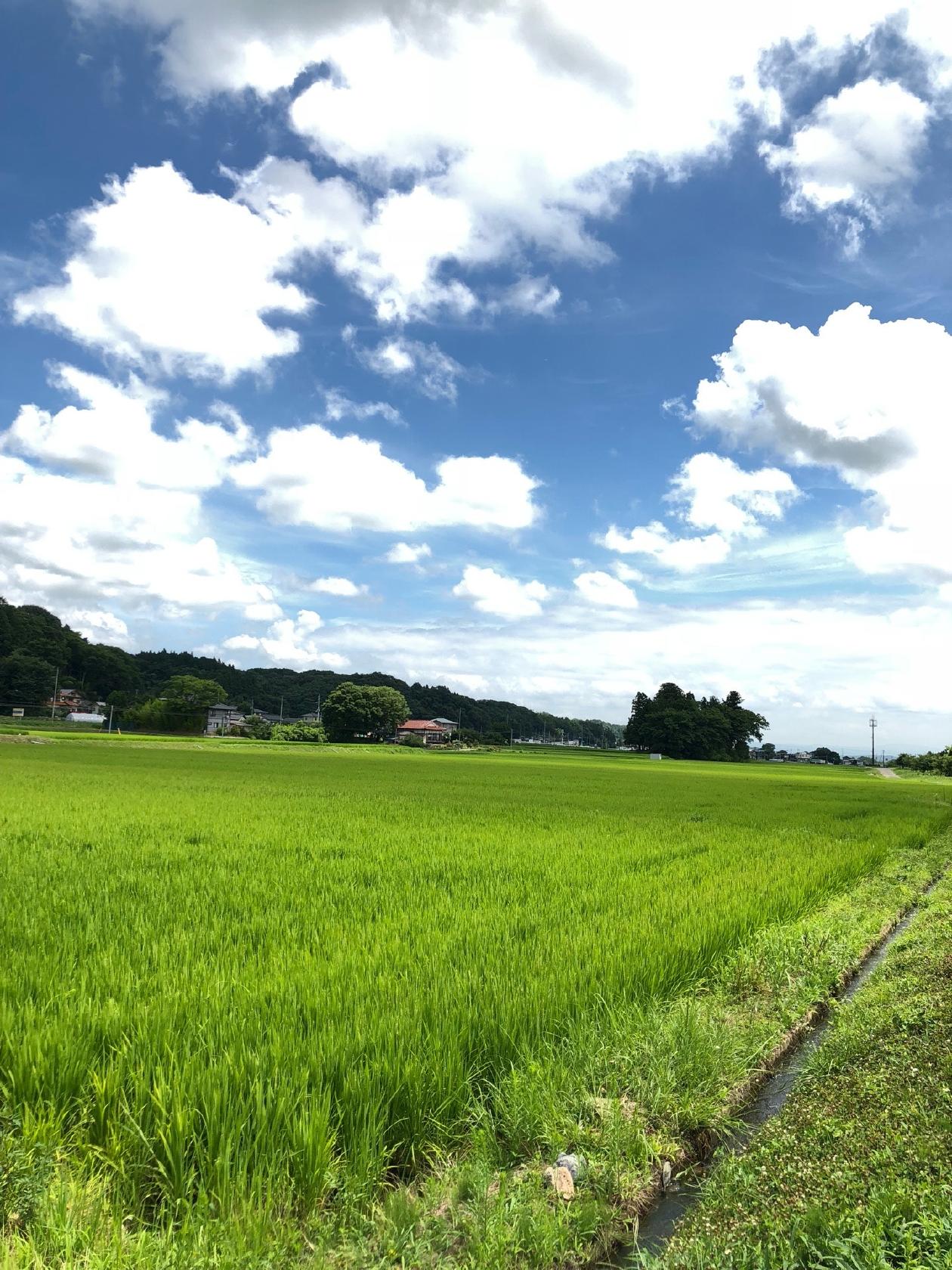 松崎酒造店