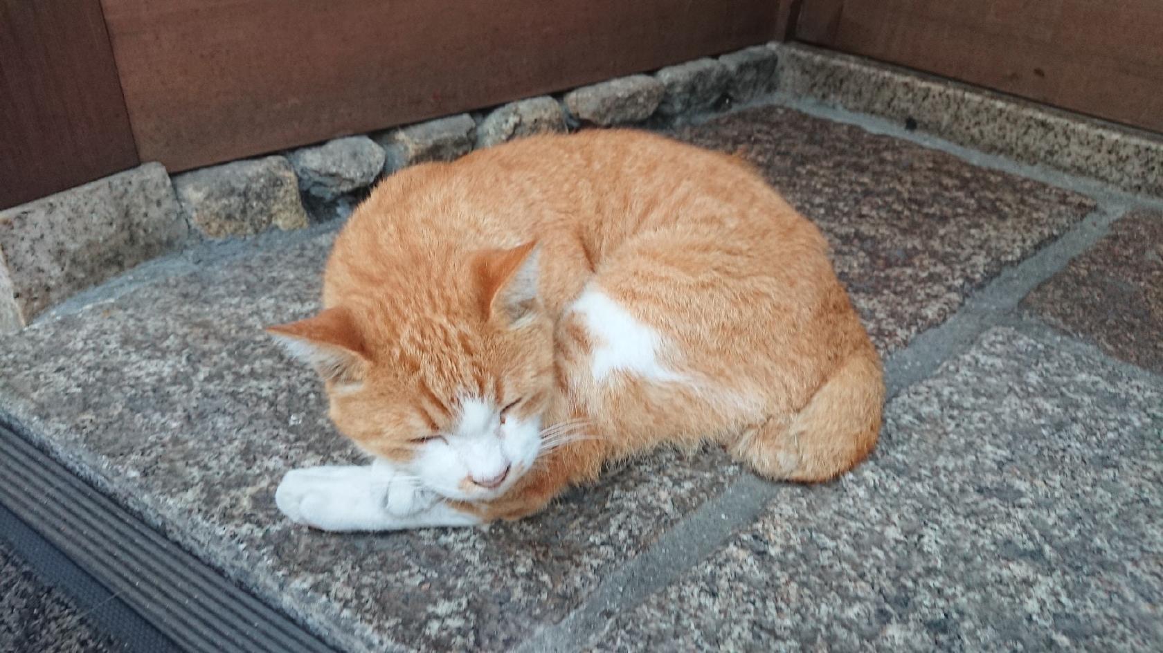 食房 夢而今