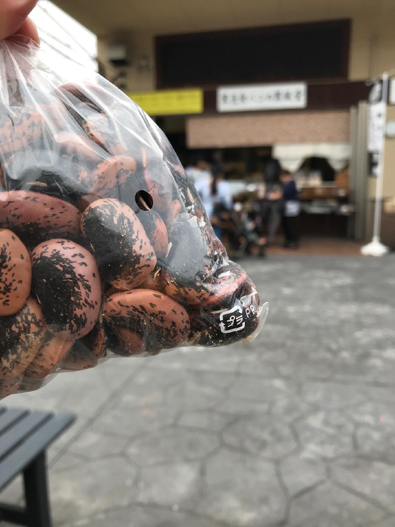丹波 黒風堂