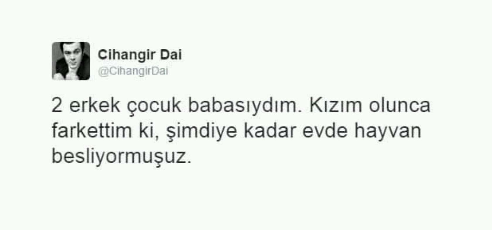 şahin balıkçılık