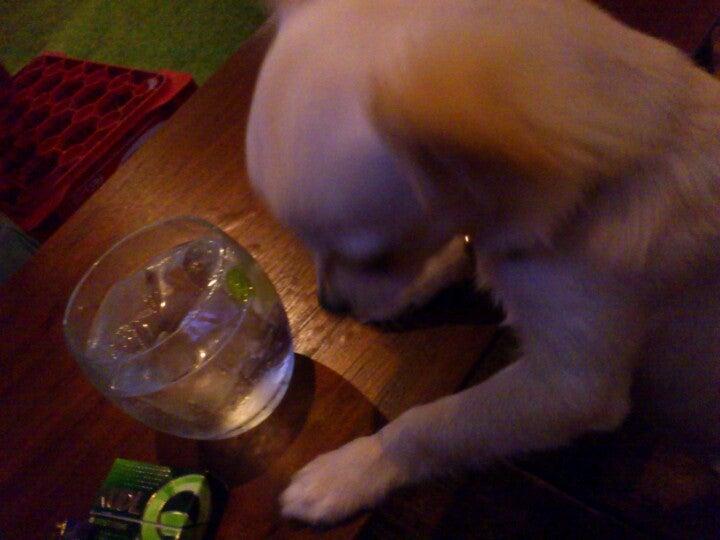 バズーカチャンネル