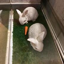 Santa Pança Restaurante e Pizzaria