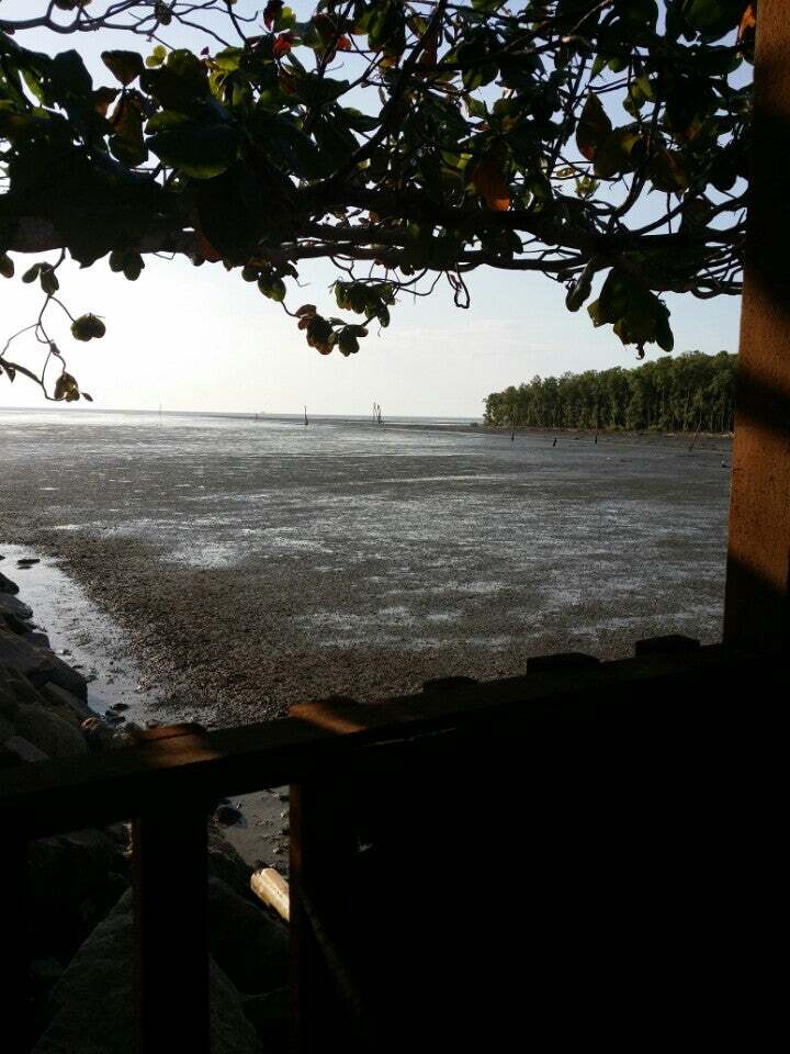 warung kulat