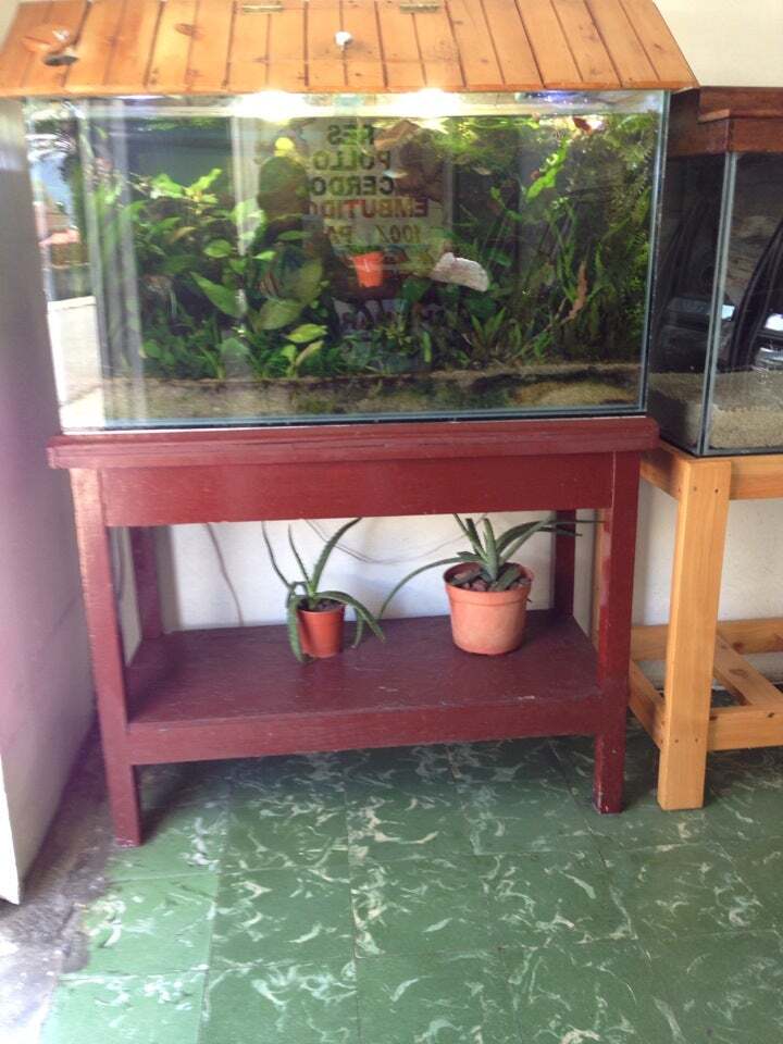 Carniceria El Angel