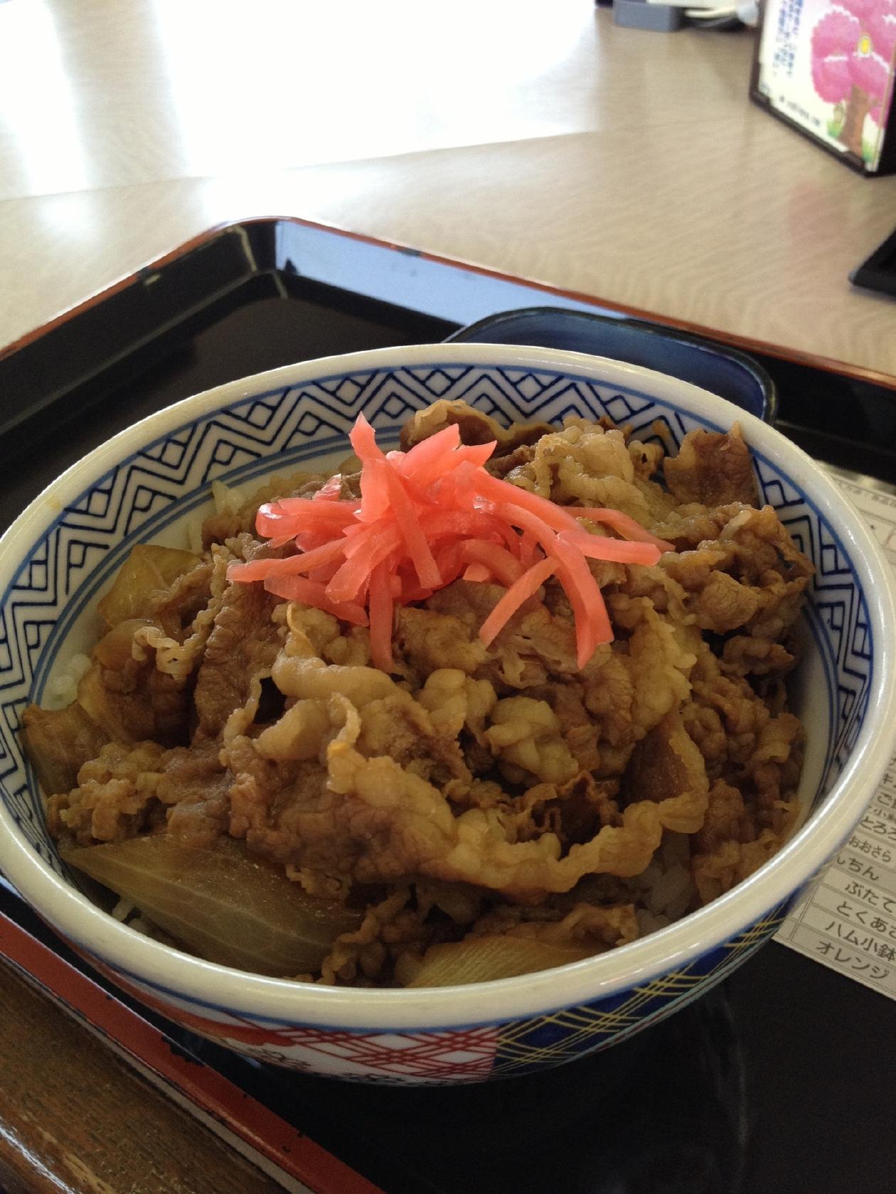吉野家　第2阪和岸和田店