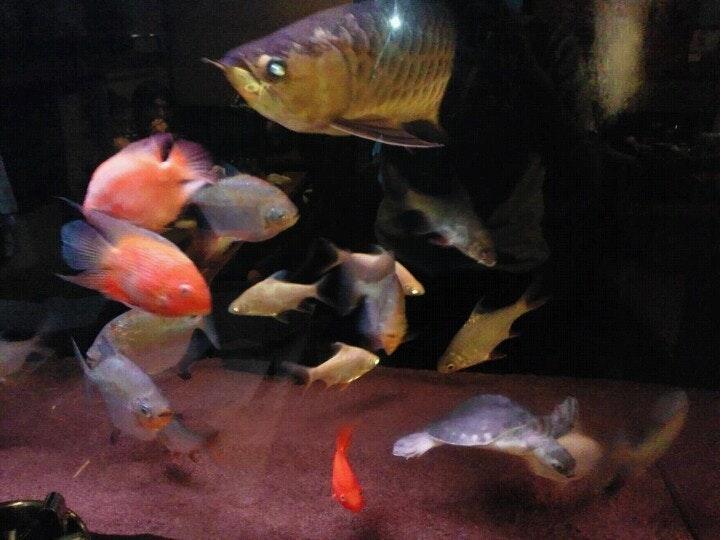 石屋