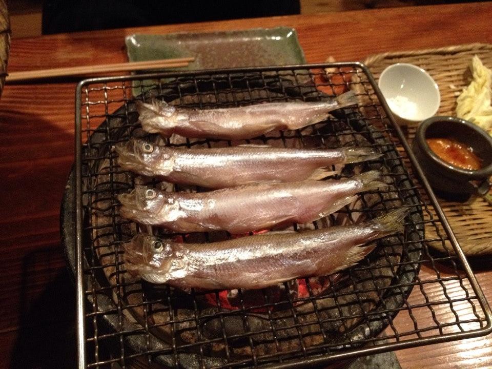 菜根鐔
