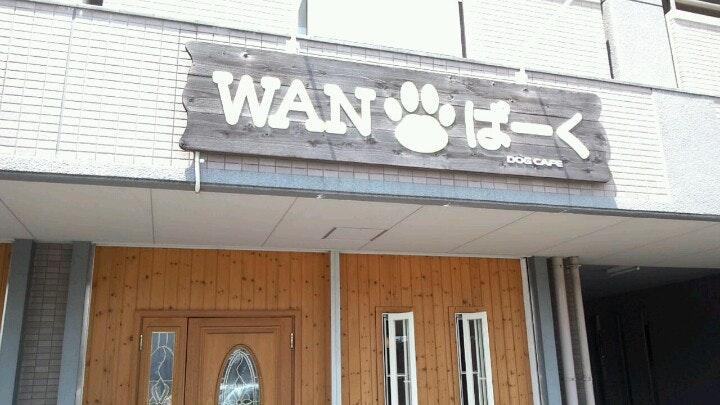 WANぱーく