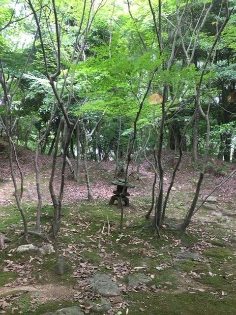 蕎麦 なな草