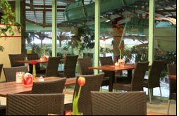 Restaurant Palmeras