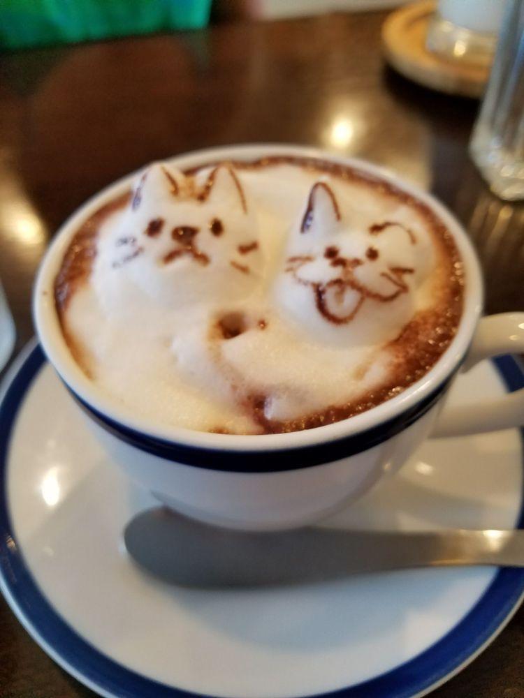 キャットベース
