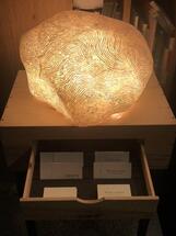 Vinzenz-zum feinen Wein