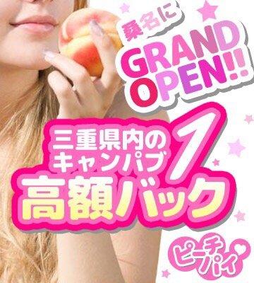 キャンパスパブ ピーチパイ