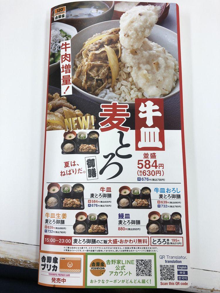Yoshinoya Odorinishi 10 Chome