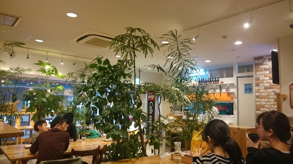 Illy Cafe Espresso