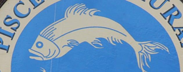 Pisces