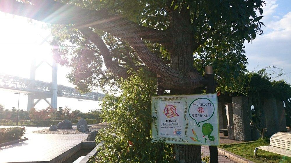 与島サービスエリア