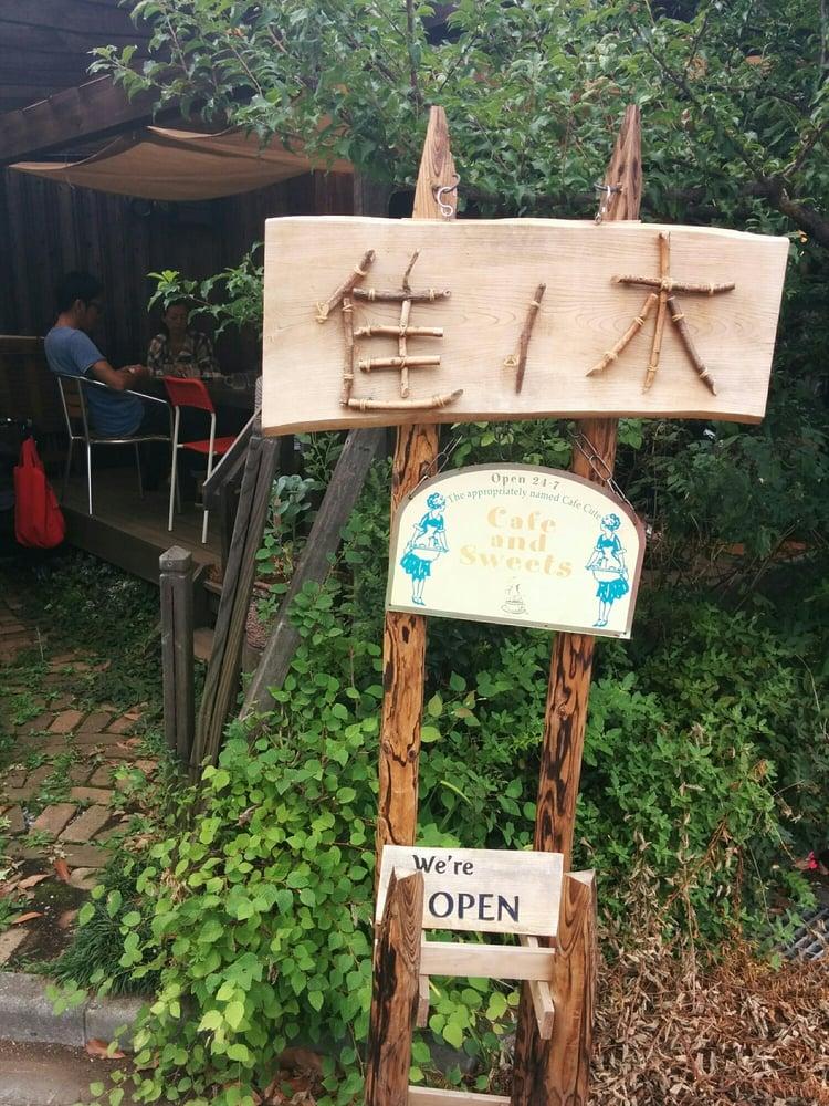 CAFE 隹ノ木