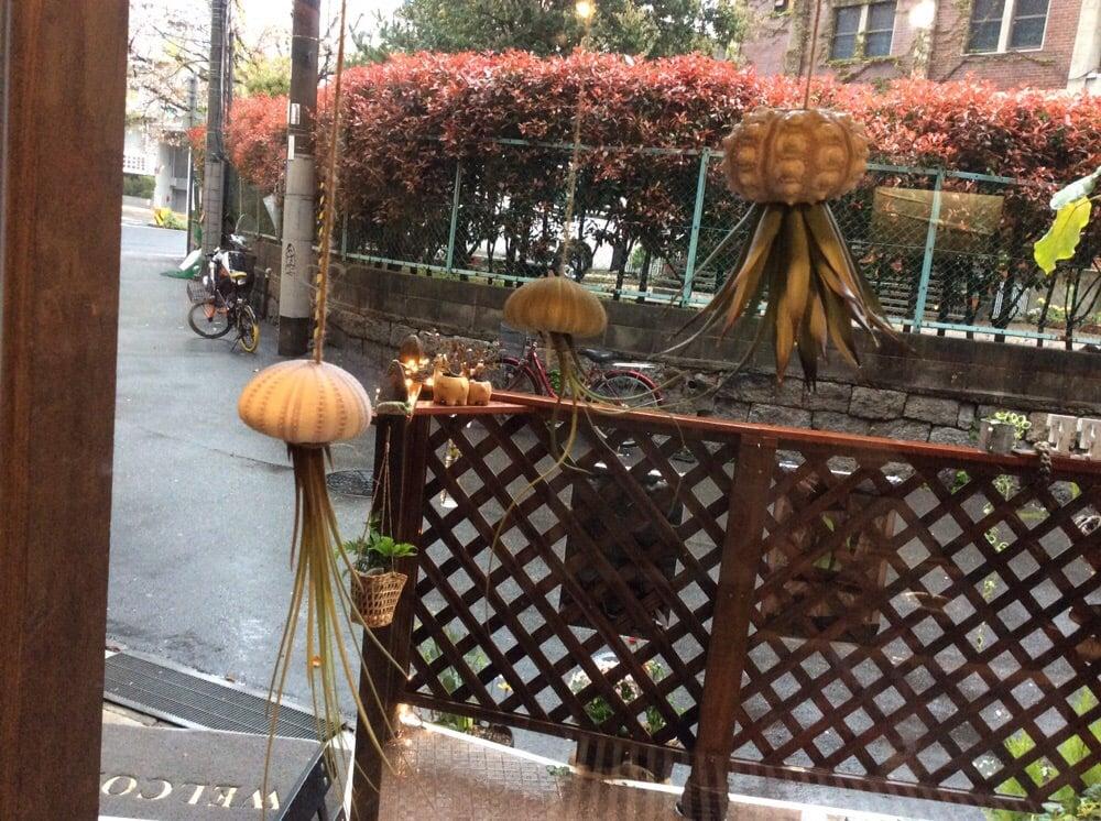 Th cafe